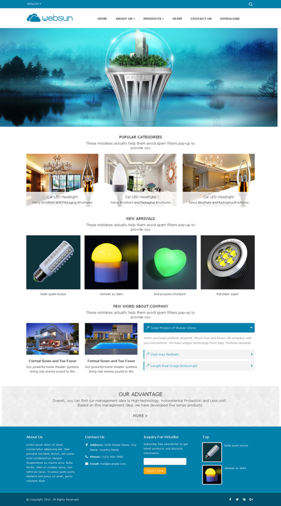 C40LED灯具丨百货用品丨小家电外贸独立站模板