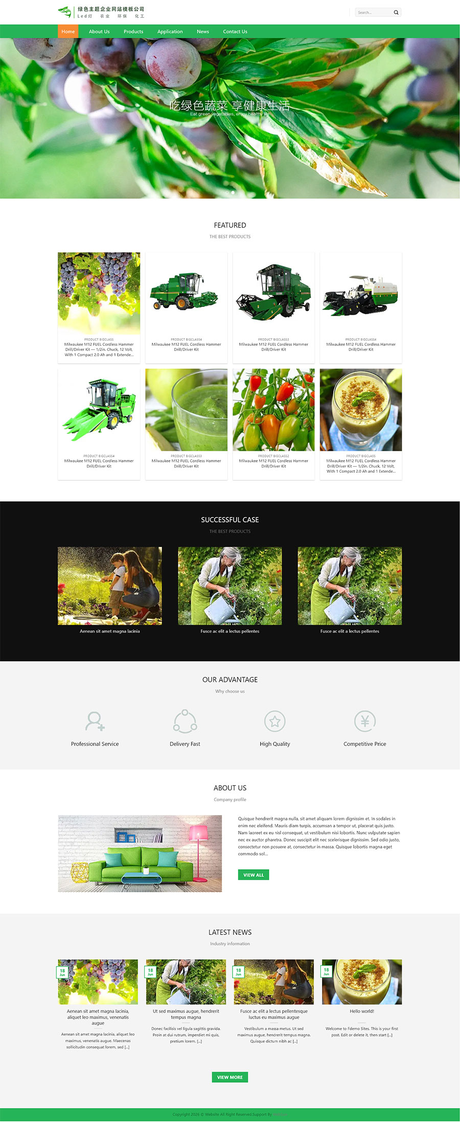 F171 网站首页完整演示(PC 端)