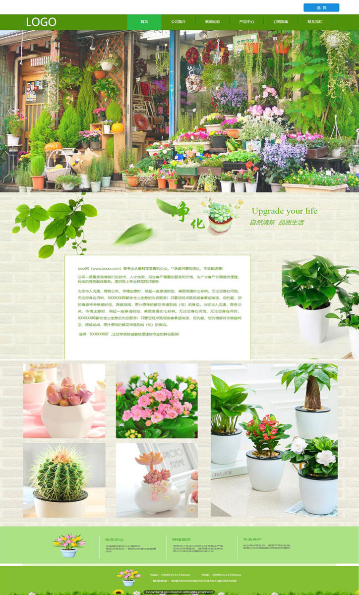 Flower cultivation2
